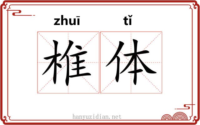 椎体