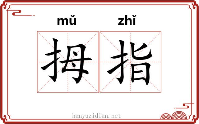 拇指