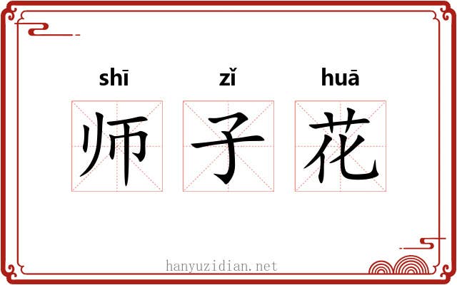 师子花 师子花
