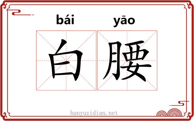 白腰 白腰