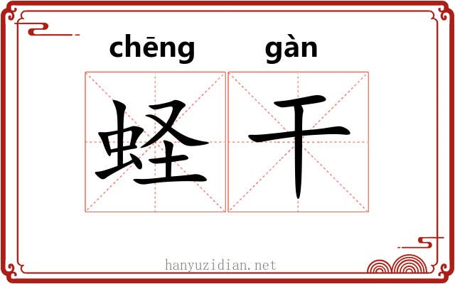 蛏干 蛏干