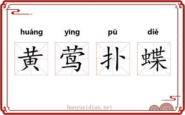 黄莺扑蝶 黄莺扑蝶