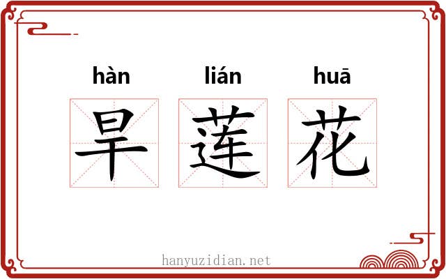 旱莲花