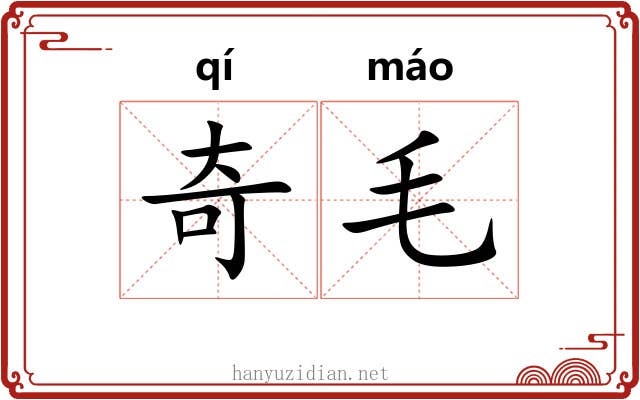 奇毛 奇毛