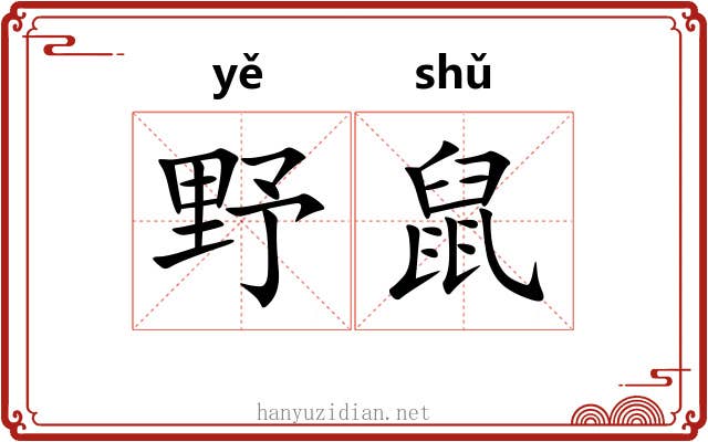 野鼠 野鼠