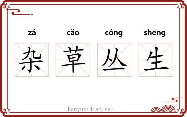 杂草丛生 杂草丛生
