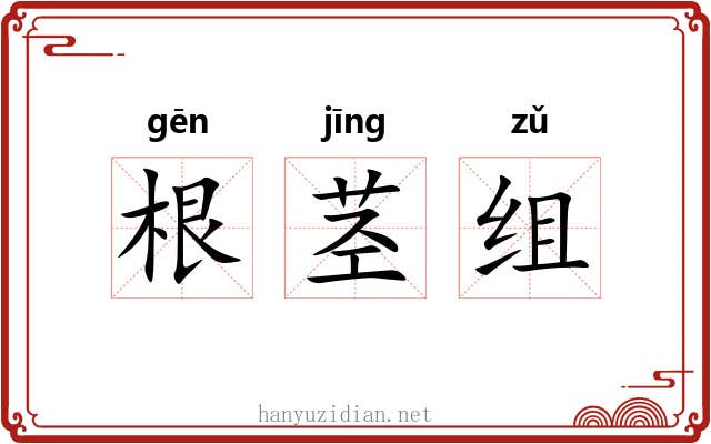 根茎组 根茎组
