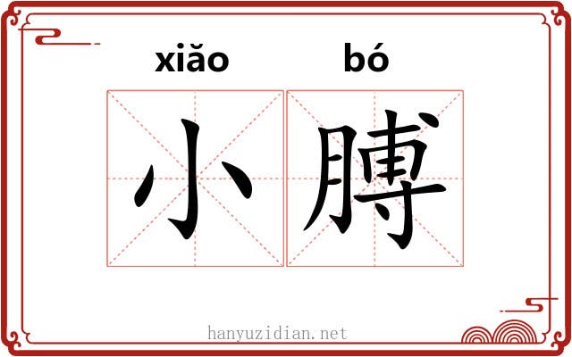 小膊