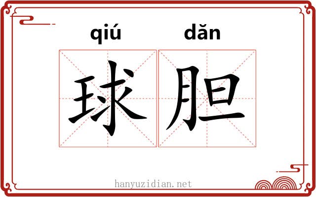 球胆
