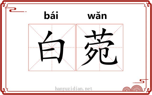 白菀 白菀