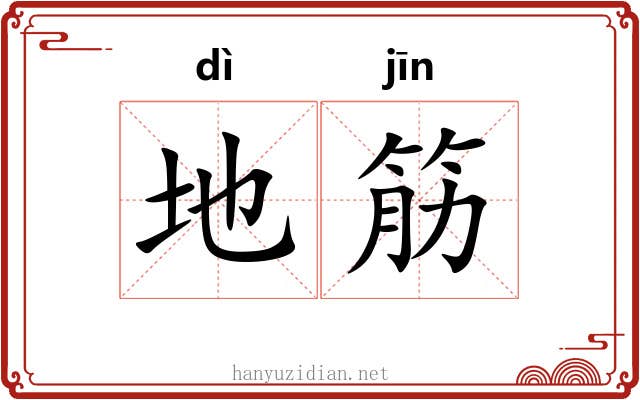 地筋 地筋