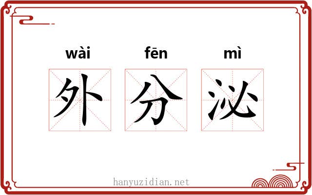 外分泌