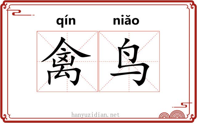 禽鸟