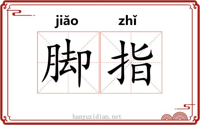 脚指
