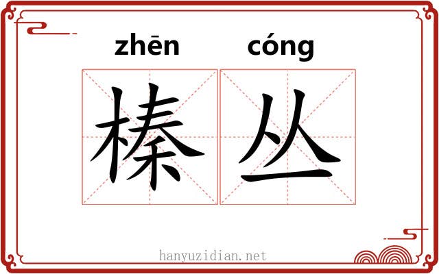 榛丛