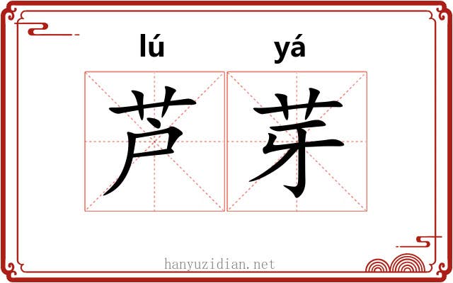 芦芽