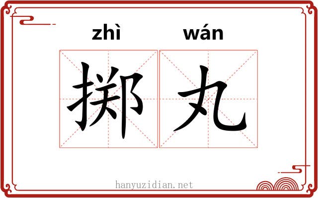 掷丸