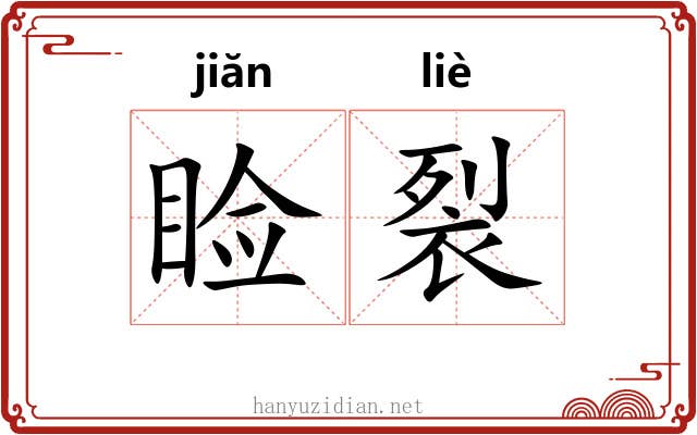睑裂