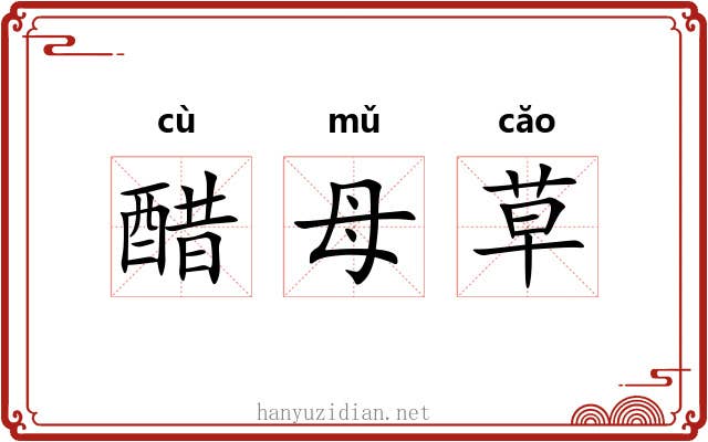 醋母草