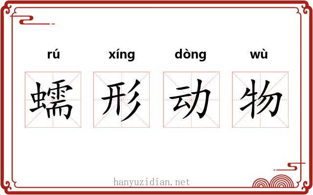 蠕形动物 蠕形动物