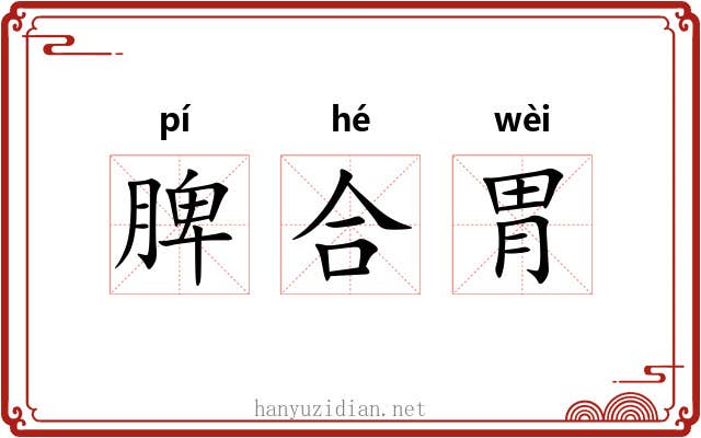 脾合胃