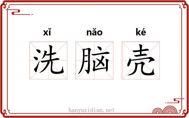 洗脑壳 洗脑壳
