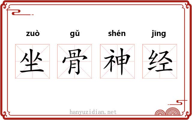 坐骨神经