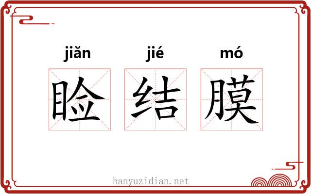 睑结膜 睑结膜