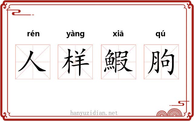 人样鰕胊