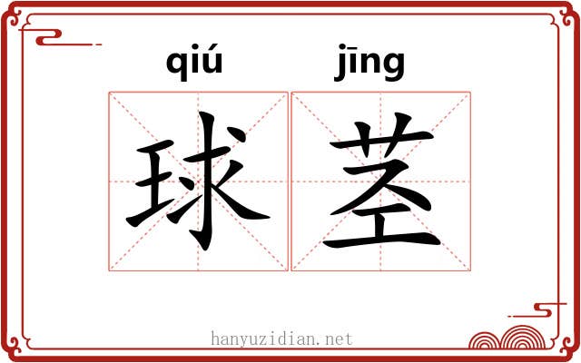 球茎