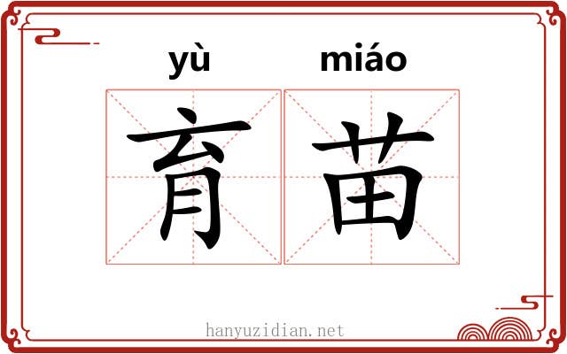 育苗 育苗