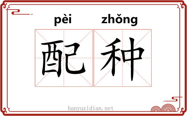 配种