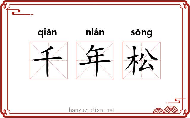千年松 千年松