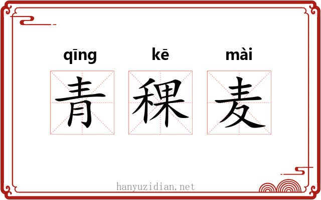 青稞麦 青稞麦