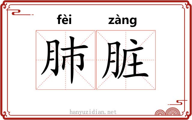 肺脏