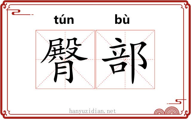 臀部