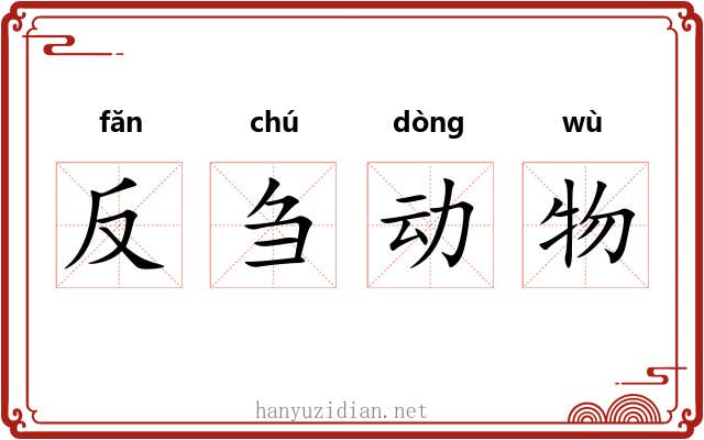 反刍动物