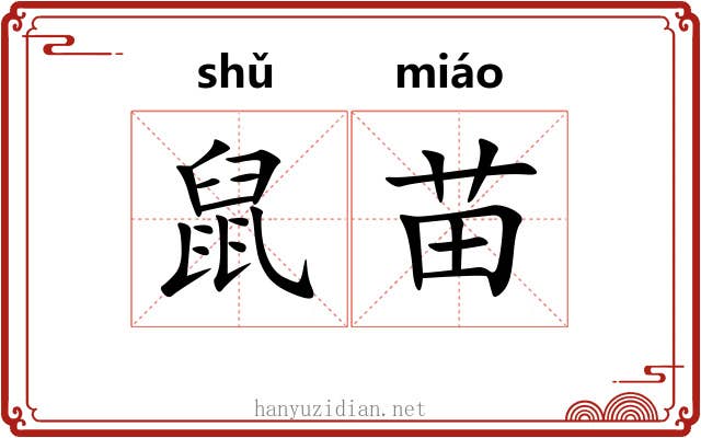 鼠苗