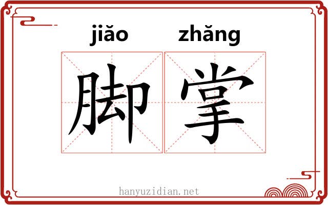 脚掌 脚掌