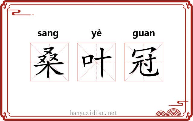 桑叶冠 桑叶冠