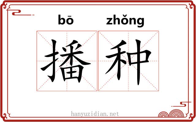 播种 播种