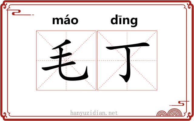 毛丁