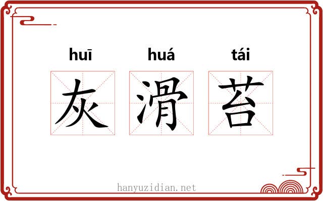灰滑苔