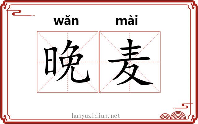 晚麦
