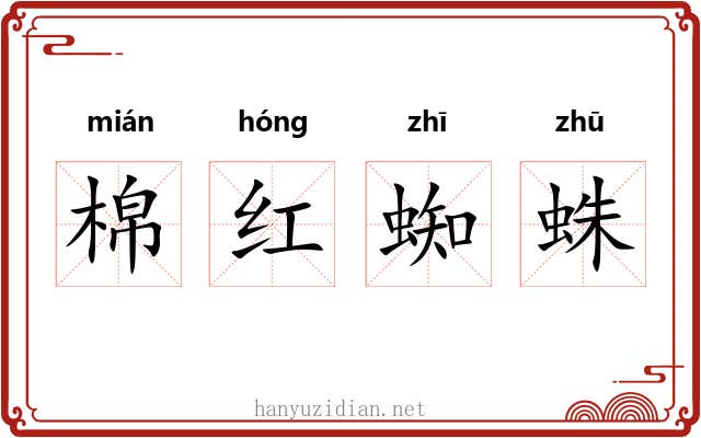 棉红蜘蛛 棉红蜘蛛