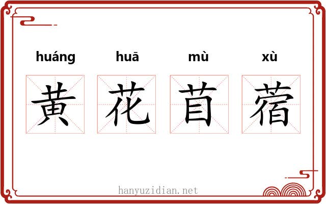 黄花苜蓿 黄花苜蓿
