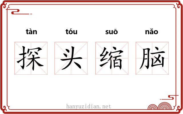 探头缩脑