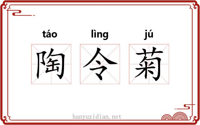 陶令菊