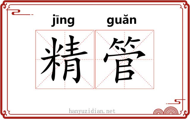 精管 精管