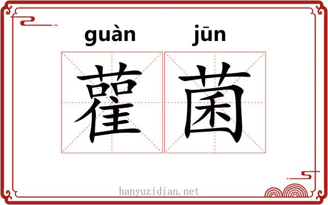雚菌
